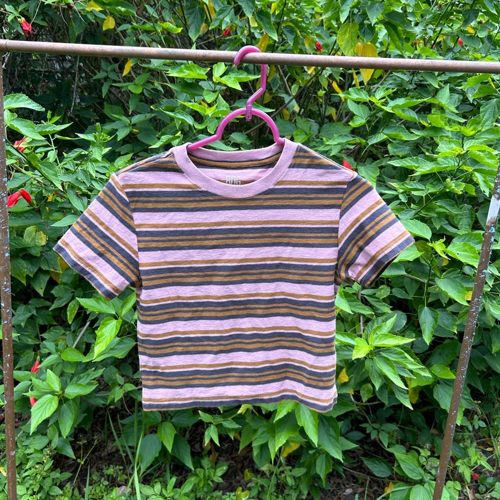 BDG Striped T-Shirt - Purple and Brown